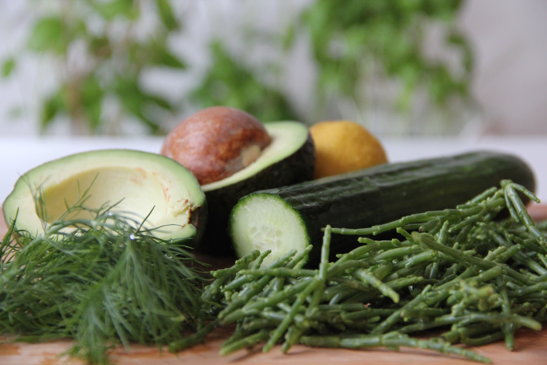 Queller Salat Mit Gurke Und Avocado queller-salat-mit-gurke-und-avocado